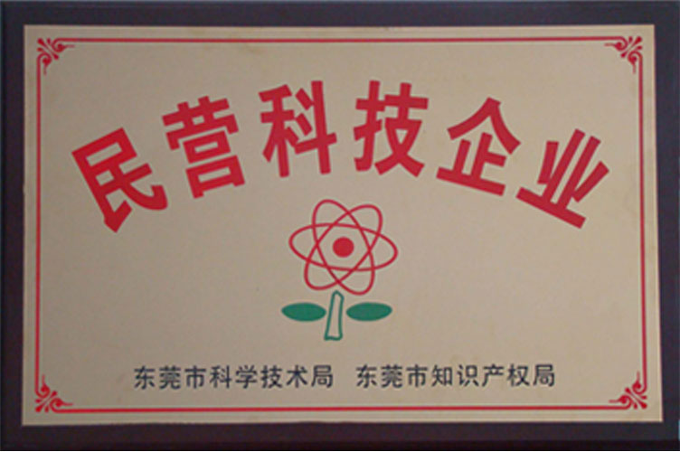民营科技企业